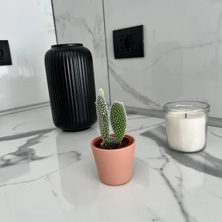 Appartement Baru's San Remo