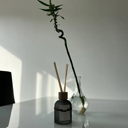 Baru's Appartement San Remo