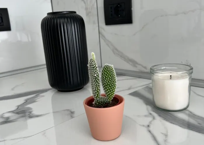 Daire Baru's Sanremo