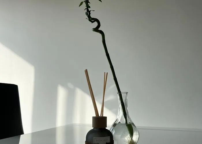 Baru's Daire Sanremo